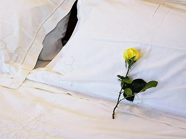 Πανσιόν ρούσης 3*